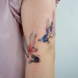 Beautiful tattoo by Tattooer Manda #TattooerManda #beautifultattoos #beautifultattoo #beautiful #tattooidea #besttattoo #awesometattoo #cooltattoo #realism #realistic #arm #fish #color #watercolor