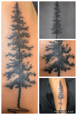 Albero Tattoo black and grey