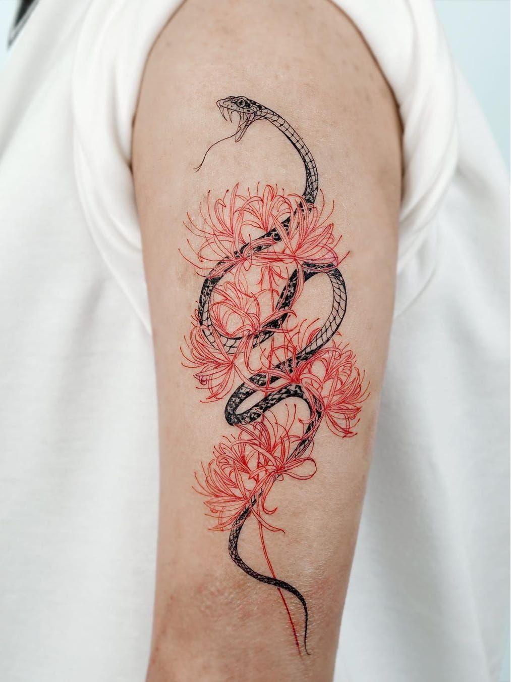Snake line work illustration Hon Tattoo  Fine line tattoos Left arm  tattoos Snake tattoo