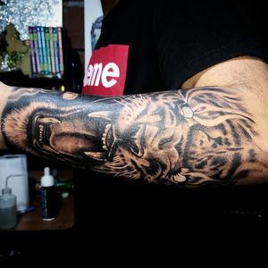 #tattoo #tattooPayande #freeTattoo #payandeArt #NuevoDiseño #semirealismo #blackandgray #tigretattoo 