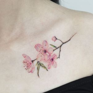 cherry blossom #flowertattoo #cherryblossom #cherryblossomtattoo #chesttattoo #nyctattoo #tattooart #colortattoo #fineline 