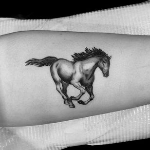 Tatuaje de caballo por Jon Bathurst #JonBathurst #horse #illustrative #realism #blackwork #animals #naturaleza