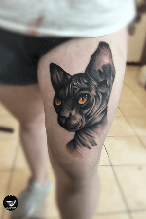 🐱#polska #poland #sphinx #sphinxcat #tattoo #tattoos #tattooed #blackandgreytattoo #cat #cattattoo #blackandgreytattoos #lublin