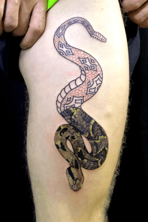 #snake #realism #slither #serpent #tribal #colorrealism #color 