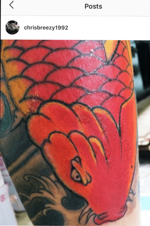  koi fish tattoo