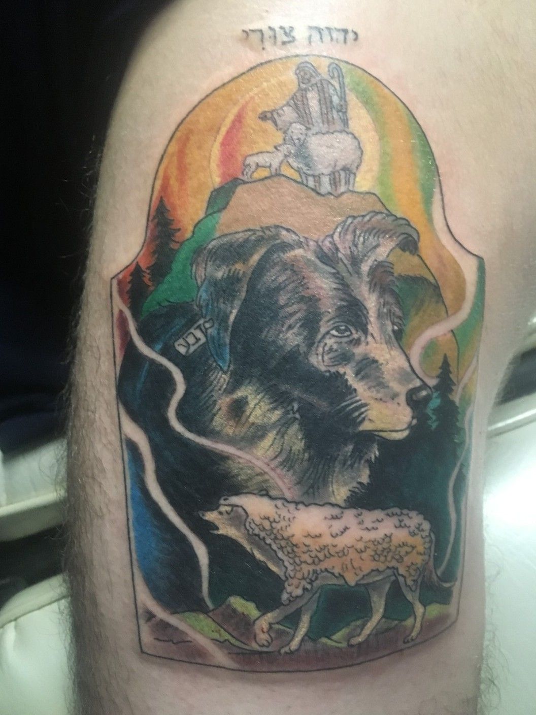 Tattoo of Dogs Animals