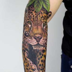 Full colour realism leopard.