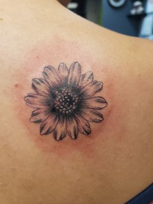 Sunflower #sunflower #tattooartist #rebelinktattoo #blackandgrey #blackandgreytattoo 