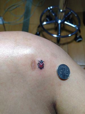 Small piece ladybug Tattoo
