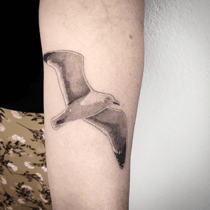 #tattoo #tatouage #photooftheday #tattoooftheday #gull #gulltattoo #goeland #goelandtattoo #dot #dotwork #stippletattoo #stippling #petitspoints #blackandwhitetattoo #blackandgreytattoo #lespetitspointsdefanny #lausanne #lausannetattoo #tattoolausanne 