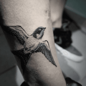 A little bird 🕊
