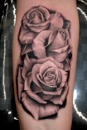 Roses done at the 2019 Fort Worth Expo