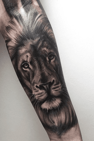 Lion portrait tattoo
