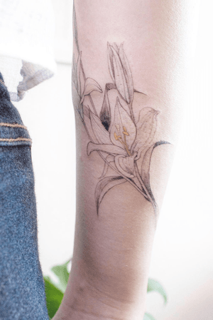 Tattooing Nature