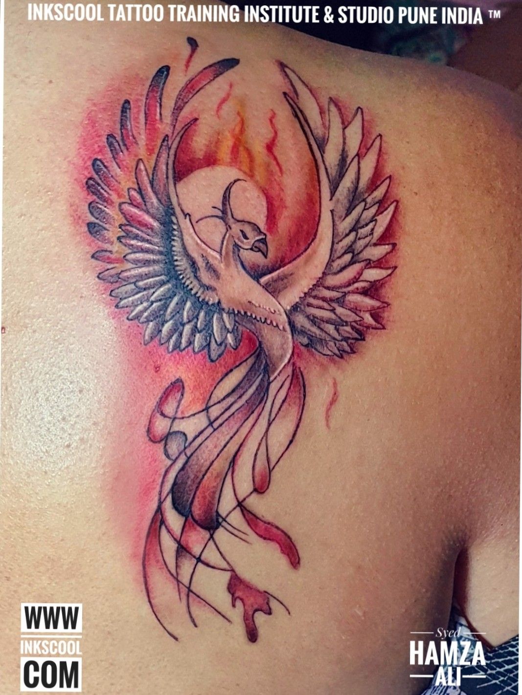 Phoenix Tattoos  Designs Ideas  Meaning