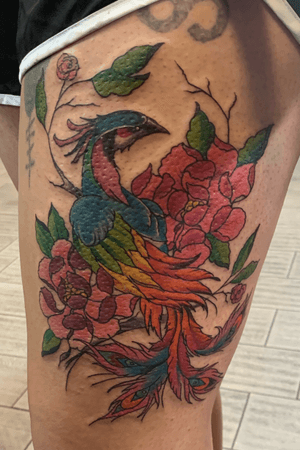 Did this phoenix last ngiht. Hella fun tattoo! I love doing color! Thanks for looking guys! 