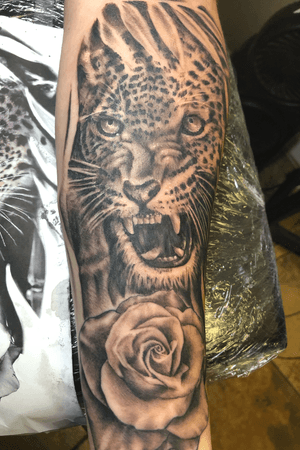 Leopard in forest/ Rose 