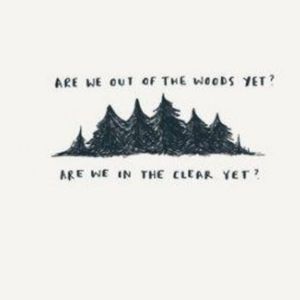 Out of the Woods, Taylor Swift 