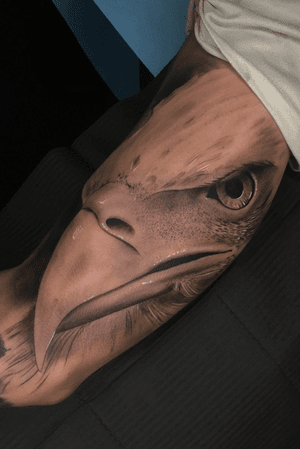 Aguila en el interior del biceps