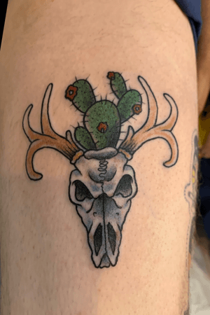 Deer skull and cactus