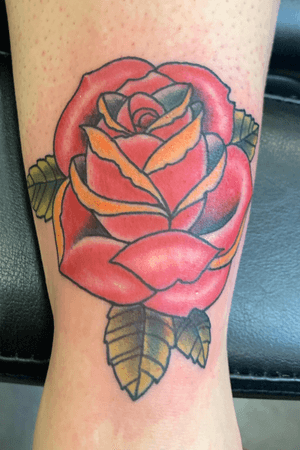 Traditional rose