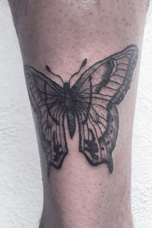 Blackwork butterfly 