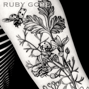 Tattoo uploaded by Ruby Gore • Little ladybug family hidden in cilantro  Made with the best @cheyenne_tattooequipment @eternalink @stencilanchored  @eikondevice @tattooreleaseformsapp @secondskintac . . #vegantattoo  #onlyblackart #btattooing ...