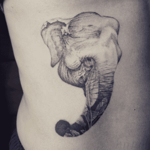 Grandma elephant tattoo - Tattoo Chiang Mai #elephant #inkstinctsubmission #inked #equilattera #blxckink #blackworktattoo #tatuagem #ChiangMai #thailand #elephanttattoo #tattoochiangmai #tattooartistchiangmai #tattoolife 