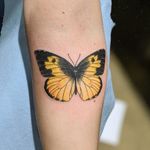 #tattoo #tattoolife #tattooart #saniderm #envyneedles #rosewatertattoo #tattoos #tattooartist #art #ink #inked #lynntattoos #inkedmag #portland #portlandtattooers #portlandtattoo #pdx #pdxartists #pdxtattooers #pdxtattoo #tattooed #tatsoul #fusiontattooink #fkirons #bestink #butterfly #tattoosnob #stencilstuff #butterflytattoo #eternalink