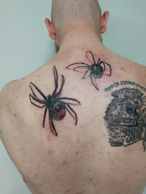 Black widow spiders to be added more.