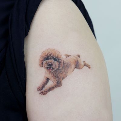 poodle with singleneedle #poodle #puppy #puppytattoo #dog #dogtatto #sanfrancisco #sanfranciscotattoo #nyc #nyctattoo #newyork
