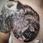 Super realistic lion head done on the chest in Okinawa Japan at the Shop Okinawa#lion #lionhead #lionking #liontattoo #chesttattoo #chestpiece #tattoo #tattoodo #ink #realism #realistictattoo #awesome #awesometattoos #bng #blackandgrey#superbtattoos