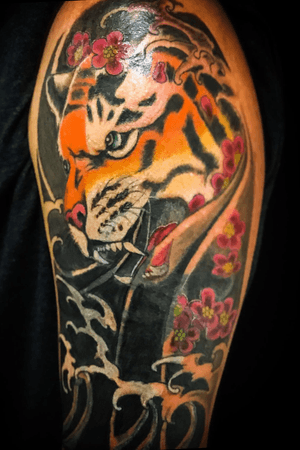 Japanese tiger