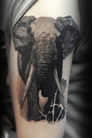 This a sleeve tattoo based on the design i would have called a black and grey tattoo but its basically got colors in it like the background is red trying to portray the dry earth of africa as sort.