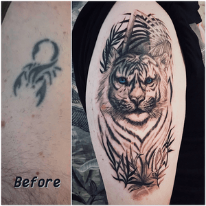 Cover up by me 