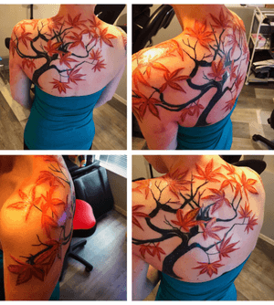 Japanese maple double cover up
