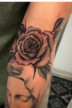 Rose i did in the ditch
