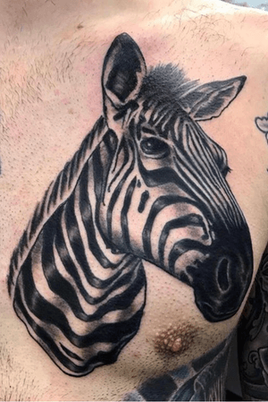  Zebra tattoo on chest representing ehlers danlos syndrome for my customer who suffers from this terrible diseaae