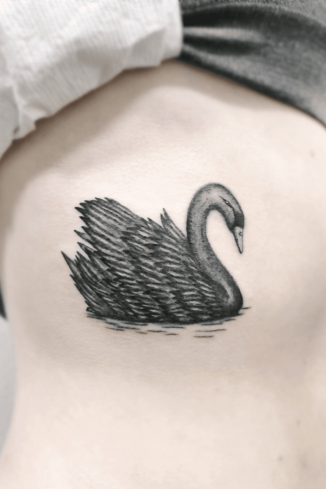 Black Swan by Kyle Cotterman TattooNOW