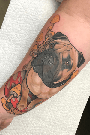 Right forearm, my dog Cliff! 