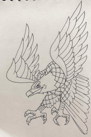 drawing - eagle