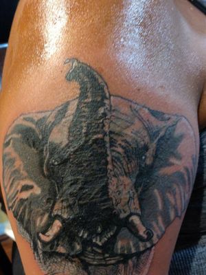 African elephant realism cover up