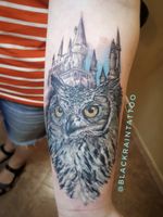 #owl #harrypotter #hogwarts #realism #realistic #odessa #tattooartist #ukrainetattoo 