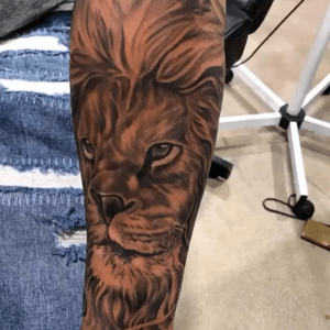 Quick clip of the lion i did earlier today!😁 it took 4hrs. if u wand to book with me...hit the contact button🤘 #lion #liontattoo #blackandgray #tattooartist 