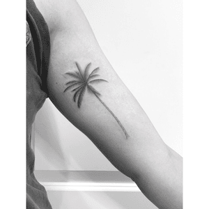 Simple palm tree. 