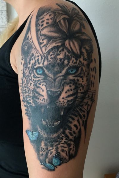Leopardo #leopard 