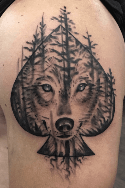 Wolf face and forest 