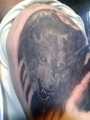 COVER UP Wolf Gray Black