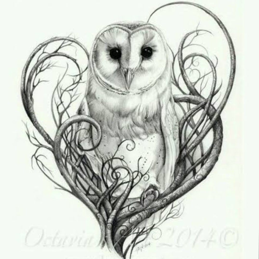 Barn Owl Tattoo Design