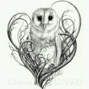 Small Barn Owl Tattoo